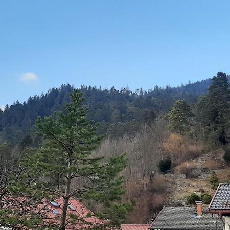 Appartement im Hasental Garmisch-Partenkirchen Buitenkant foto