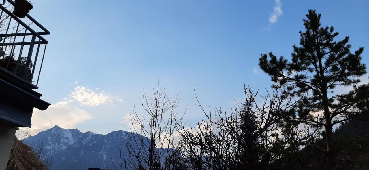 Appartement im Hasental Garmisch-Partenkirchen Buitenkant foto